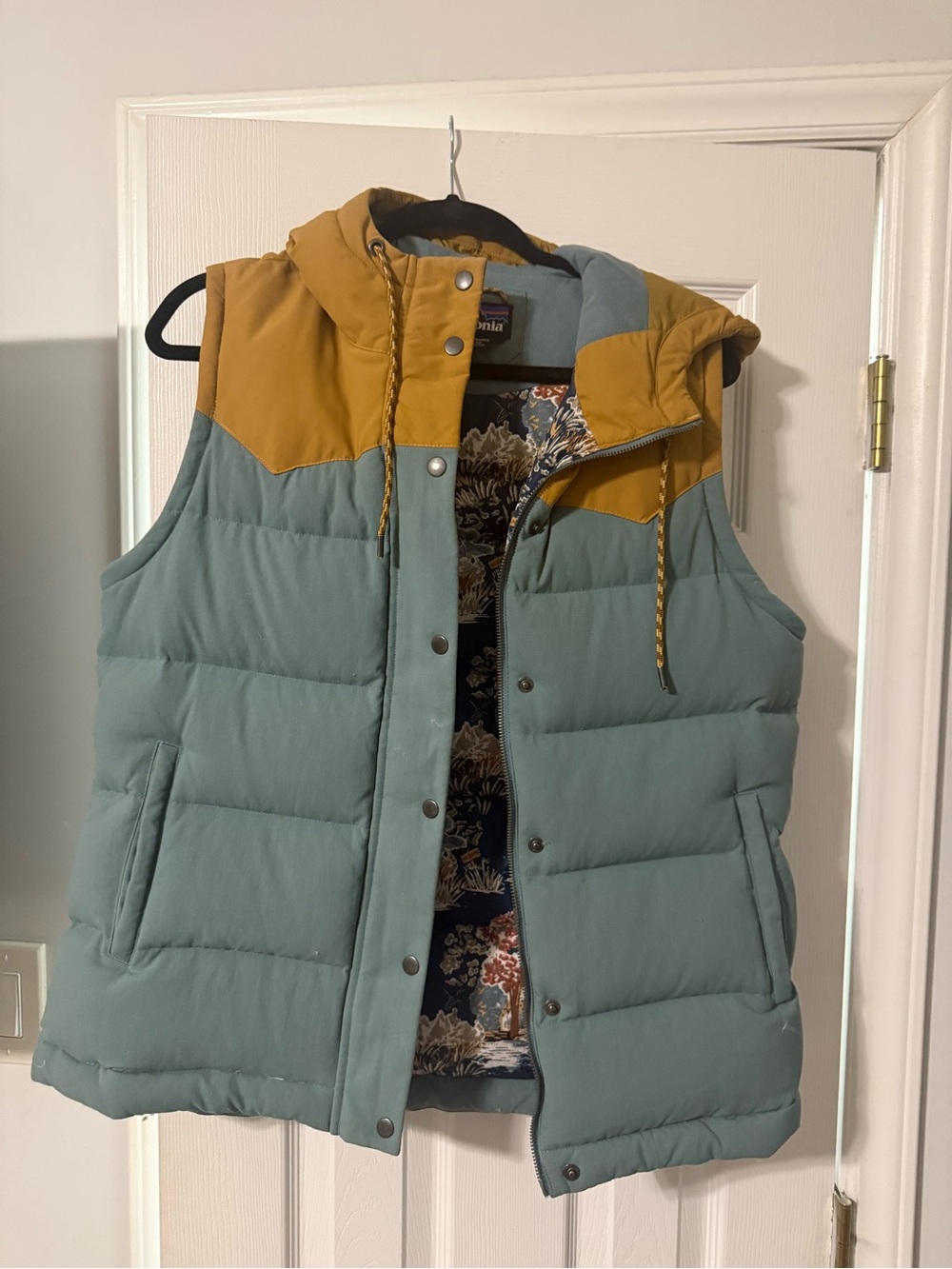 EUC Patagonia Bivy Hooded Vest - RARE